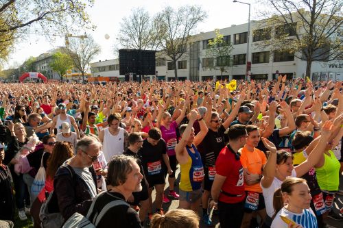 MARATONA DI VIENNA | 42K,21K,Staffetta 2024